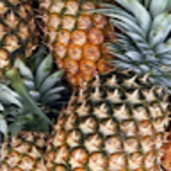 Meet your Posher, Kayela - Picture 1 of 1